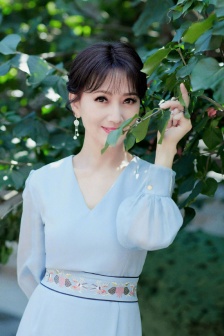 湄公河行动资源
